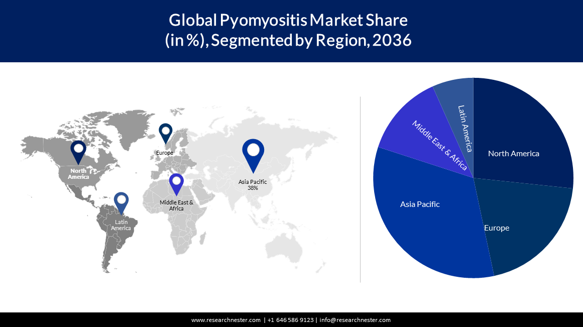 Pyomyositis Market Size